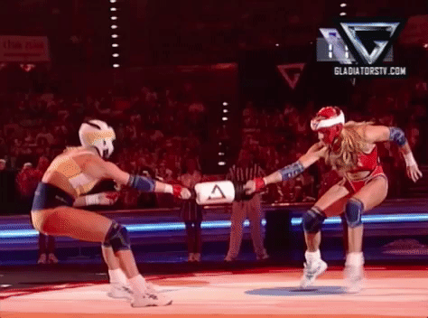 fox gladiator GIF