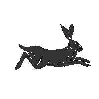 thejaderabbitparlor hair rabbit barber charlotte Sticker