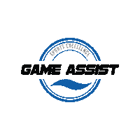 sportsexcellence baseball hockey advice sec Sticker