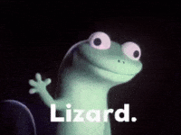 Lizard Lizard Lizard GIF