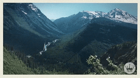 GIF by Hallmark Gold Crown