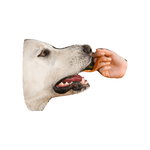 Treat Sweetpotato Sticker by OvenBakedTradition
