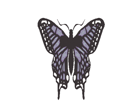 Deja Vu Sticker Sticker