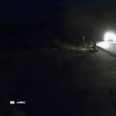 Flashlight Photographing GIF by FIA World Rally Championship