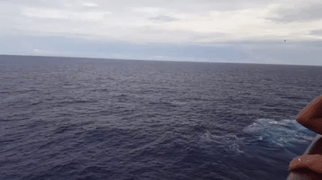 Cruise Ship Helps Coast Guard Rescue Cuban Refugees