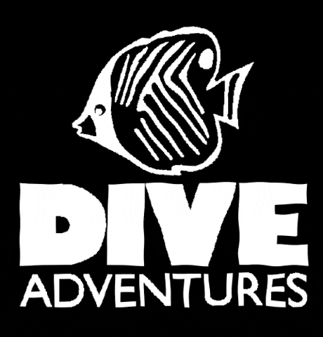 diveadventures giphygifmaker travel diving dive GIF