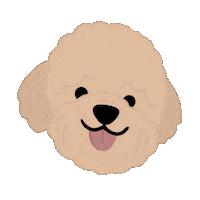 Happy Wink Sticker by Ann of Facedit
