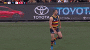 round 20 celebration GIF by Adelaide Crows