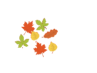 Autumn Leaves Sticker by MAGLashes
