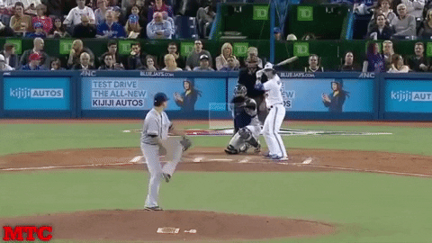 peterbrody giphygifmaker GIF