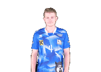 Volleyball Sieg Sticker by VCWolfurt