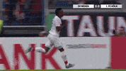 1 Fc Cologne Football GIF by 1. FC Köln
