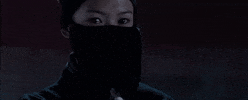 GIF by Crouching Tiger, Hidden Dragon 