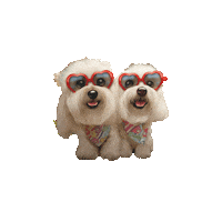 Dog Sticker by HammyandBrody