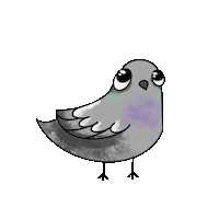 Pigeon Partybird Sticker