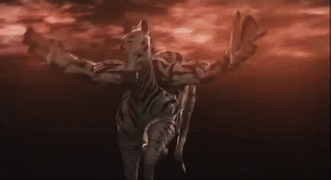 heroes3podcast giphyupload takashi miike zebraman GIF
