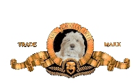 Otto Caneotto Sticker by Estetista Cinica