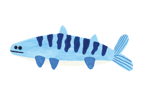 HalcyonNights baby kids tiger shark Sticker