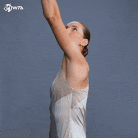 Tennis Ball GIF by WTA