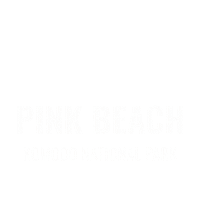 Pinkbeach Sticker by Dragon Dive Komodo