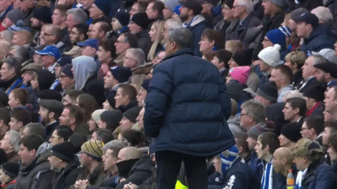 Soccer Futbol GIF by Brighton & Hove Albion Football Club