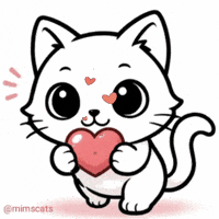 Cat Love GIF