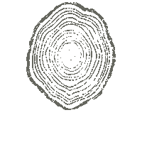 CornerTreeCafe corner tree cafe cornertreecafe corner tree cornertree Sticker