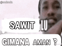 Prabowo Sawit GIF