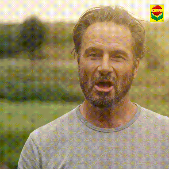 compo giphyupload garden garten compo GIF