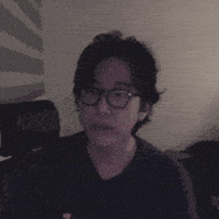 Steelo GIF