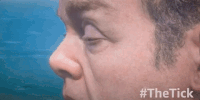 season 1 GIF by The Tick