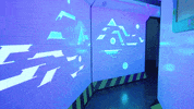 meowwolf meow wolf meowwolf meow wolf santa fe house of eternal return GIF