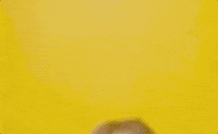 Oh My God Wow GIF by Saturday Night Live
