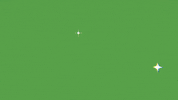 F25 GIF by Felipe Saliba