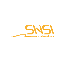 SNSIJapan snsi snsidiver diveupyourlife Sticker
