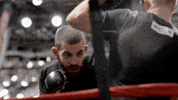 the ultimate fighter ufc GIF