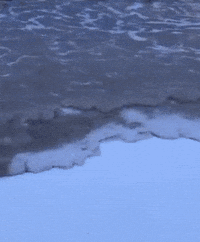waves satisfying GIF