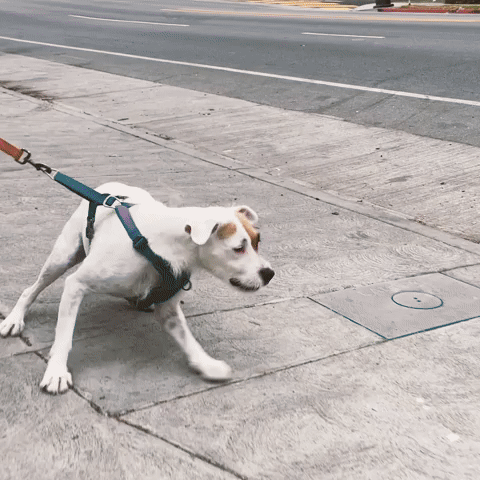 What are you looking at?