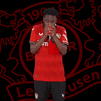 Snow Freezing GIF by Bayer 04 Leverkusen