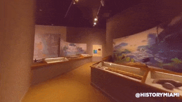 History Museum GIF by Museum of Miami
