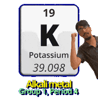 Group 1 K Sticker