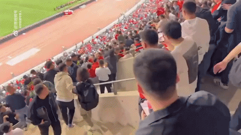 qwerpoiu22ppop giphyupload GIF