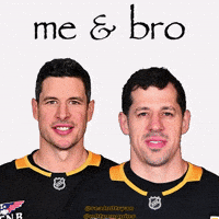Pittsburgh Penguins Nhl GIF
