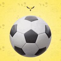 World Cup Soccer GIF by Lincoln Goldfinch Law