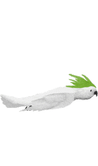 Bird Zoo Sticker by Sydney Living Museums