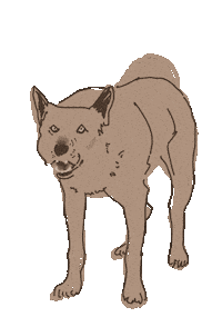 Bellen Sticker by Susann Stoebe