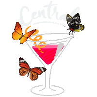 Central Sticker by Food Invest DR