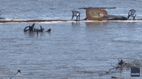 'That's Not Something You See Every Day': Floods Carry Giant Guitar Down Missouri River