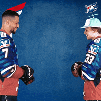 Akdag GIF by Adler Mannheim