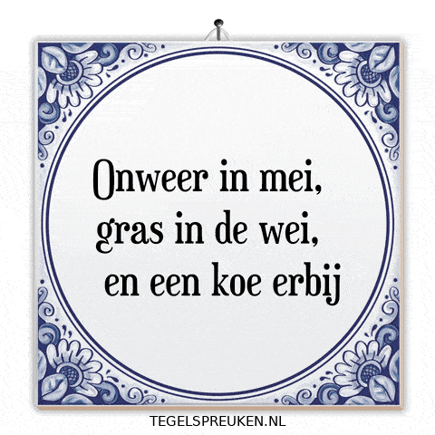 Humor Nl GIF by Tegelspreuken.nl